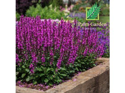 925d6ac1 3824 4de2 ab0b 59ecf9520ff8