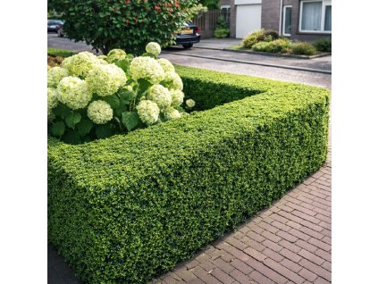 360d6dcf d87a 40c4 a491 124f854fa8d9