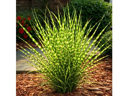 c93cb904 e836 4984 b6c6 bb1e9f98d899