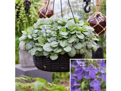 ddd167a6 c0ac 47a3 9aa6 9fbf9614e674