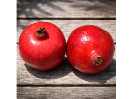 206c32c2 8826 44ec 87da 82c57e71597a