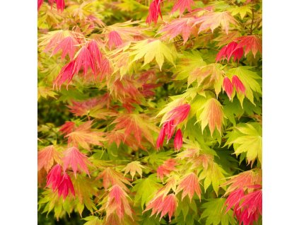 e9165987 eb79 4cc4 95fa a434626aad9c