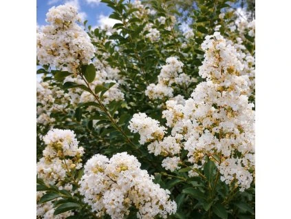 741b9221 92af 41ac b1b1 e10e97ea2109