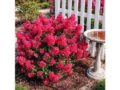 92efa3e1 7d04 4520 8257 6895ea491c98