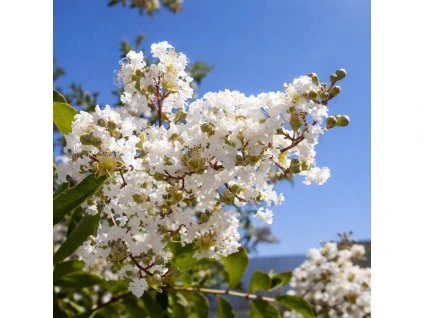 404b5c35 29b2 4fe9 a557 8979e88306d8