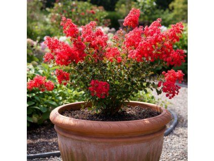 a1843c52 1b34 413a a3af 3ec012b8e622