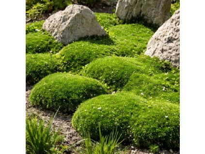 c8721917 d45a 47a2 af40 3f1191767d0e