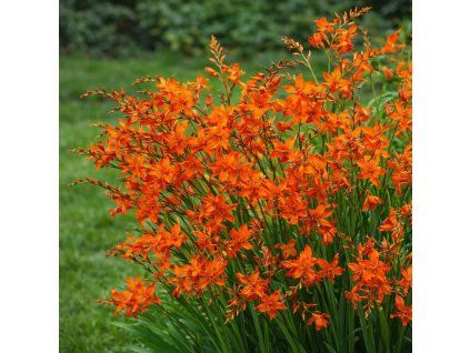 f7f2d245 c196 4b59 89de 6c228043ebe5