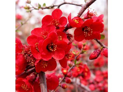 87da9d59 a2cc 4230 a60b 725df3c55ab9