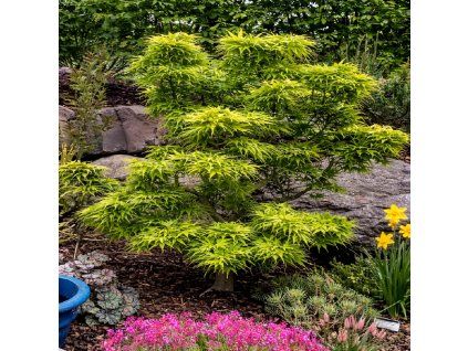 e0d2283e 6ee1 4729 800f 283b559b6fd8