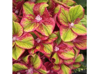 dcfba66f dc16 4a25 bd98 eac950ddf871