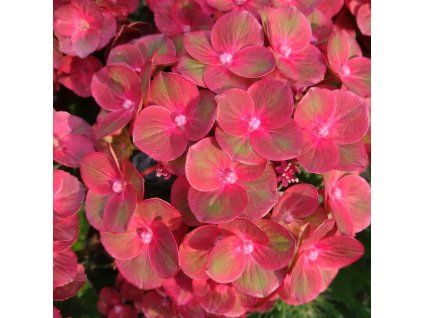 c8dea69f 909b 42b5 9d68 7960d8d3157b