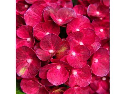 7ec85dab a8bf 46bc 8cce dad2c6c35132