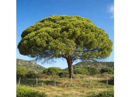 19a6b6d2 8658 4cea 997f 02fdddeb5def