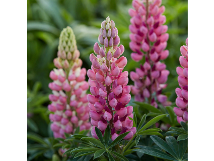 ee73cdca 7289 4eb7 a0ab 7e742a63ff10