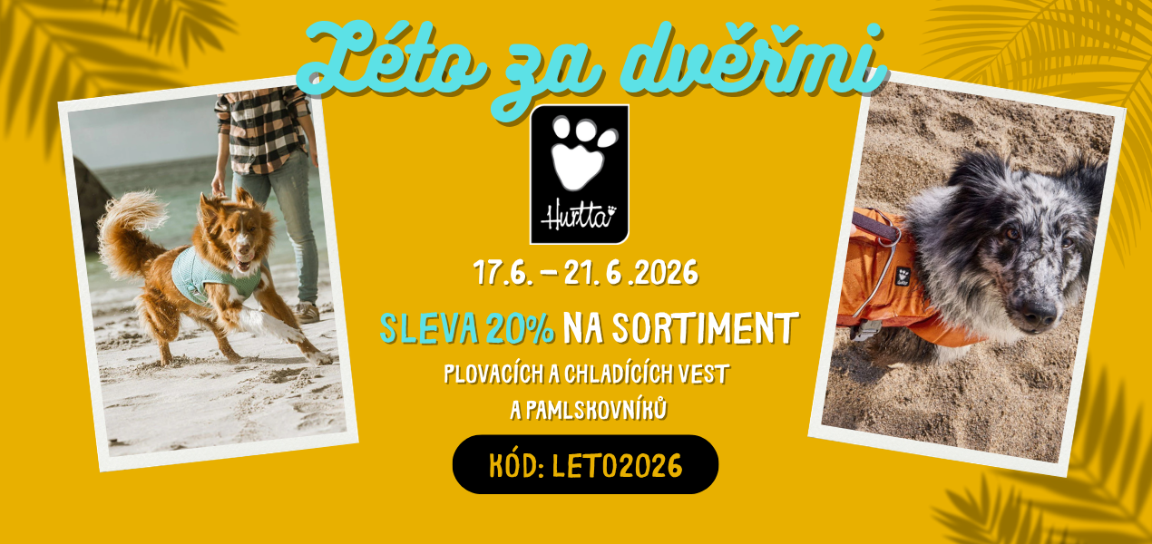 LETO 2026