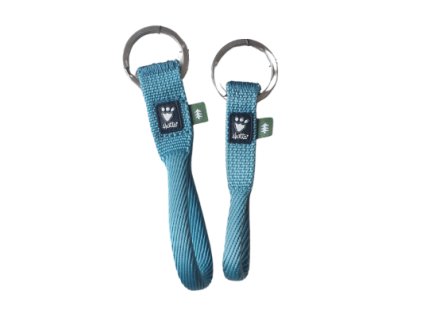 key loop blue kopie