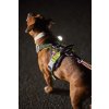 HurttaWeekendWarriorHarness NeonLicorice AW22 16
