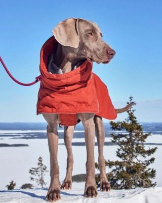 Expedition Parka x Extreme Warmer - Váš častý dotaz! Jaký model zvolit do jakých podmínek? 🤓 Expedition Parka 👉ideální...