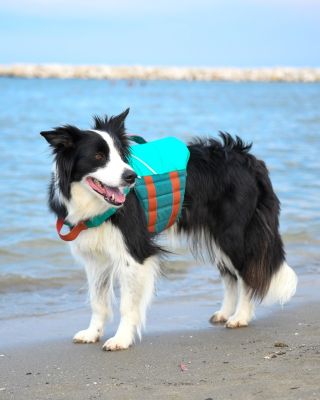 🌊 KONEC LÉTA? PLAVACÍ VESTY JEŠTĚ NESCHOVÁVÁME! 🐶💦 Léto se nám sice pomalu krátí, ale voda, paddleboardy, lodě, výlety k...