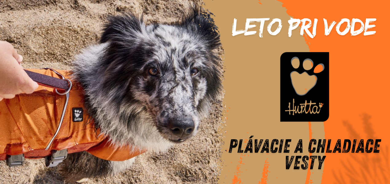 Leto pri vode