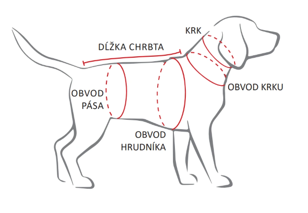Ako správne zmerať psa