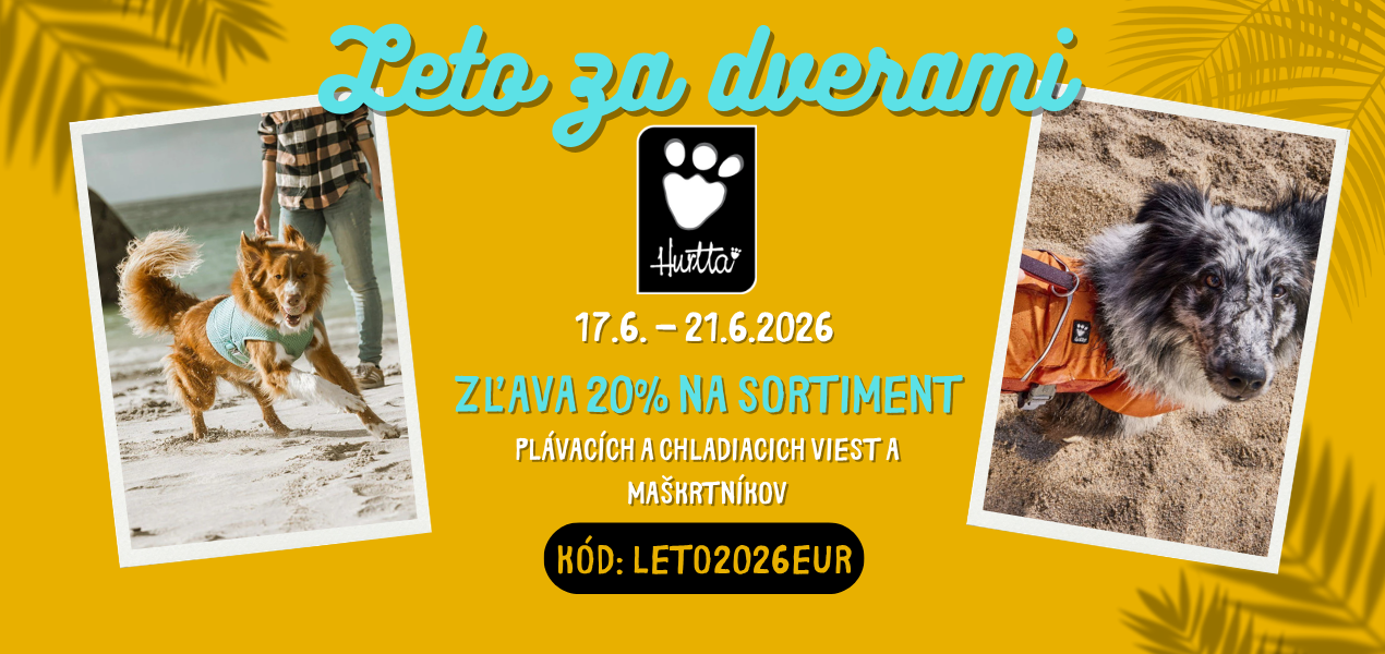 Leto 2026