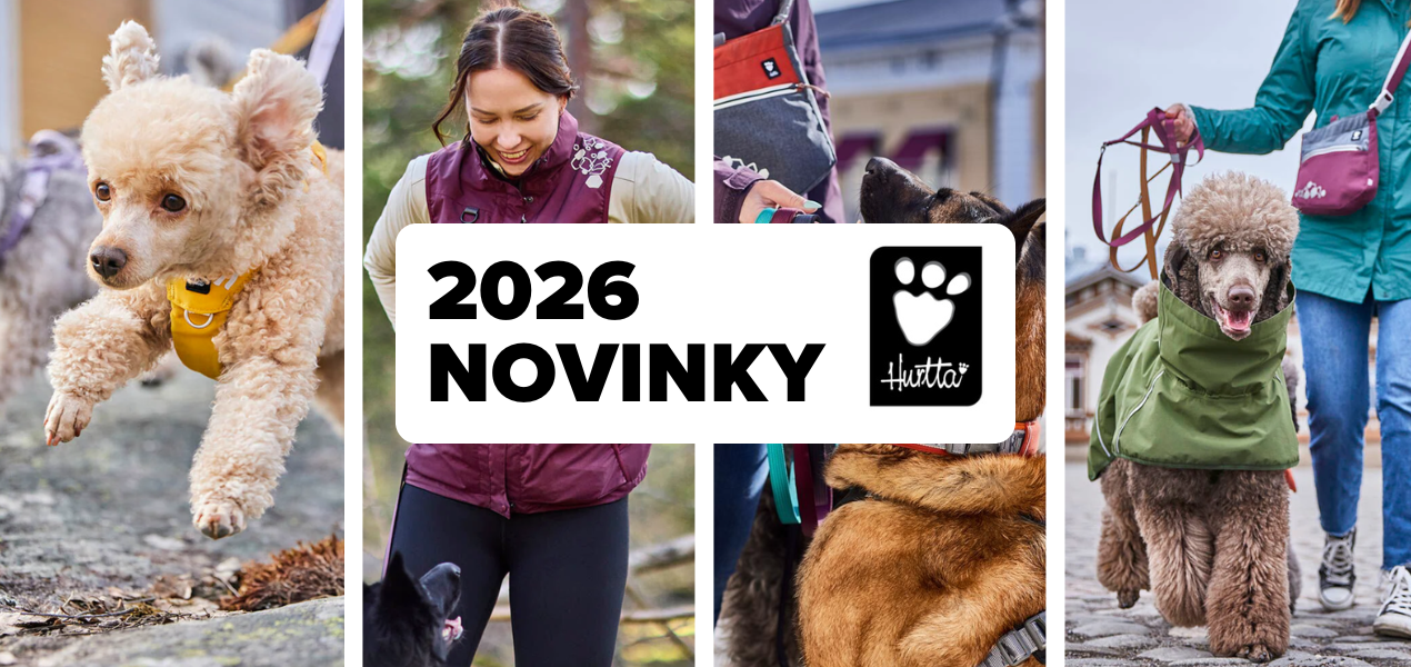 Novinky 2026