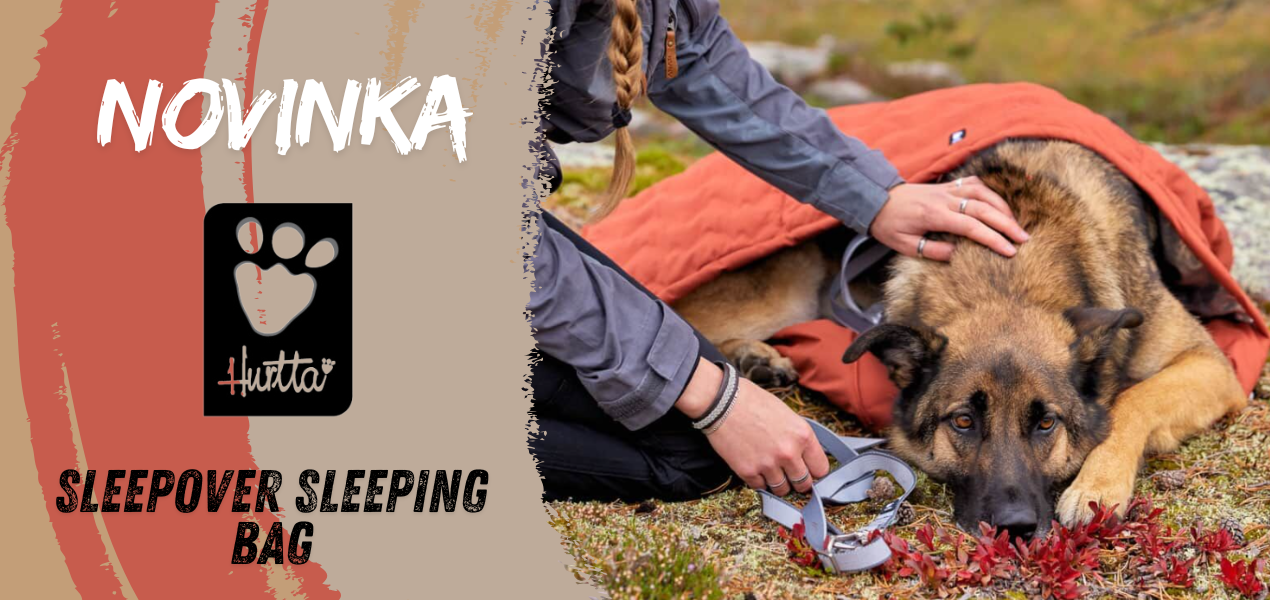 Sleepover sleeping Bag