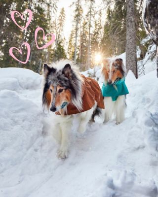 Pláštěnky - velké téma, které s Vámi budeme řešit v budoucích týdnech bláta a deště. A proto pro Vás chystáme HURTTA BLOG,...