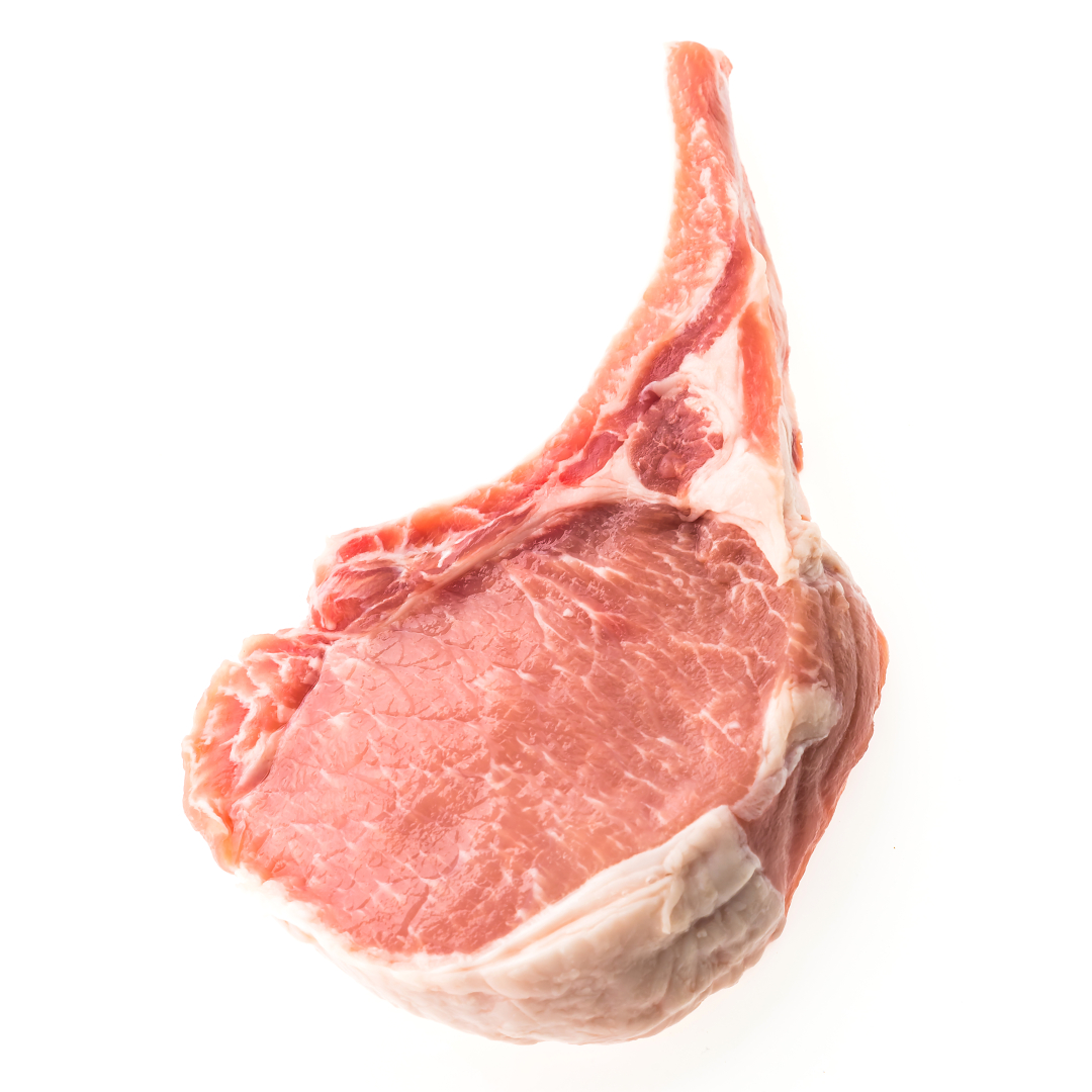 Proč používáme jehněčí maso pouze z Austrálie a Nového Zélandu? Důvodem je klusavka