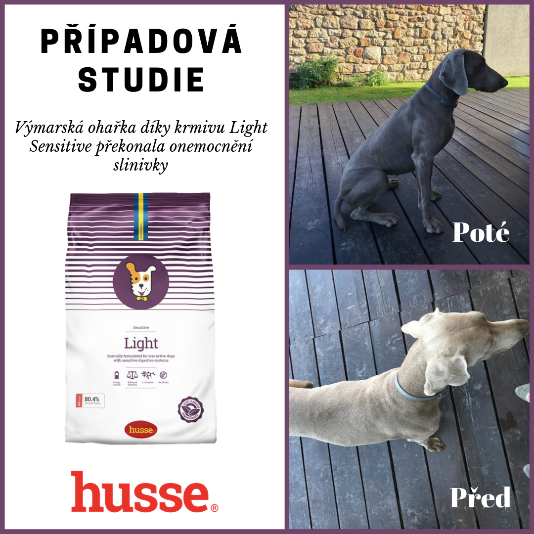 Případová studie: Výmarská ohařka díky krmivu Light Sensitive překonala onemocnění slinivky
