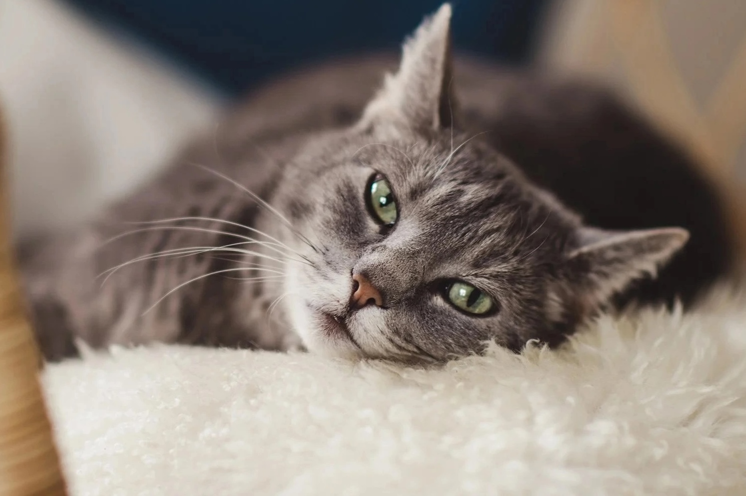 Urinální problémy