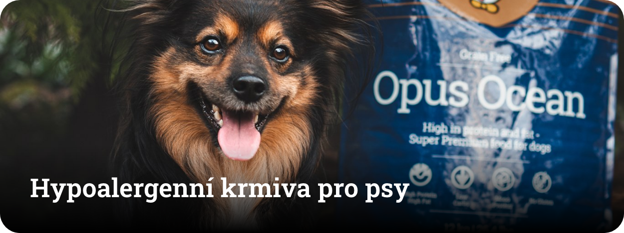 Hypoalergenní krmiva pro psy
