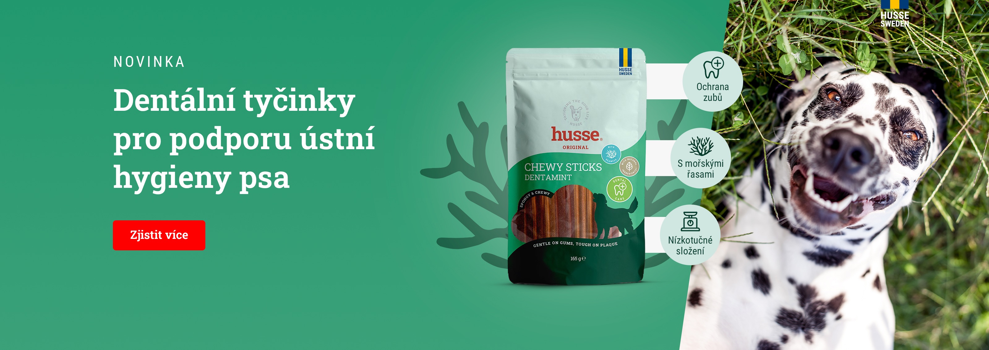 Žvýkací tyčinky pro psy Dentamint