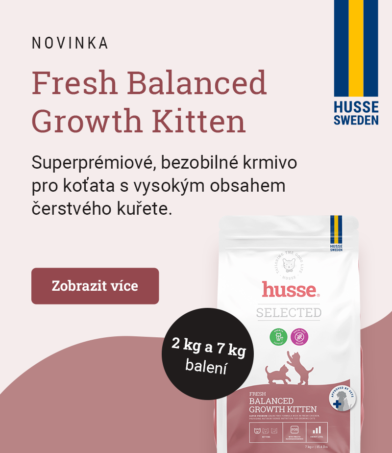 Fresh Balanced Growth Kitten