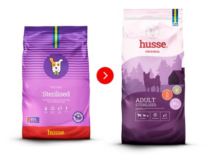 adult sterilised dog