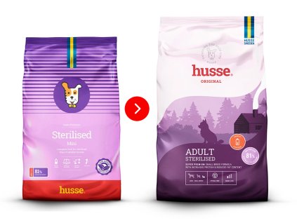 adult sterilised mini