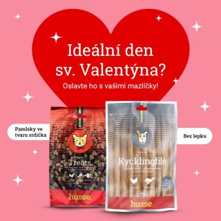 Láska má čtyři tlapky, čumáček a umí se radovat z každého pamlsku. 🐾❤️ Na sv. Valentýna potěšte ty, kteří vás milují...
