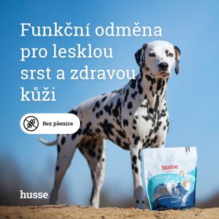 Krásná srst začíná… u odměny. 🐾✨ Snacks Skin & Coat jsou víc než jen pamlsek, jsou to malé kousky péče, které vašemu psovi...