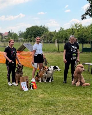 Tolik vrtících ocásků na jednom místě? To byla radost sledovat! 🐶💚 Děkujeme všem, kteří dorazili na Voříškiádu v Karviné a...