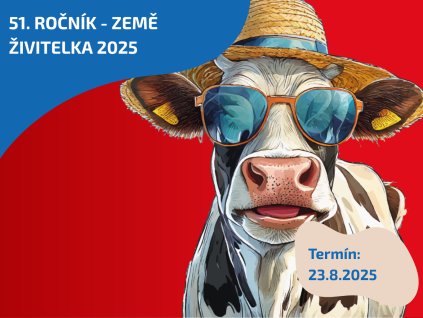 Vánoční Vídeň (3)