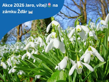 Akce 2026 Jaro, vítej!🌷 na zámku Žďár 🏰