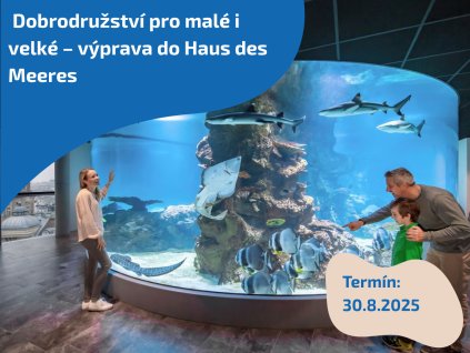 Dobrodružství pro malé i velké – výprava do Haus des Meeres