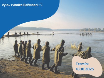 Výlov rybníka Rožmberk 🎣