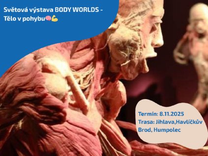 Světová výstava BODY WORLDS - Tělo v pohybu🧠💪