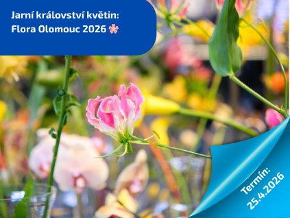 Vánoční Vídeň (2)