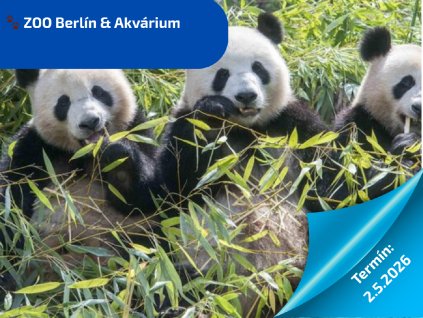 Vánoční Vídeň (7)