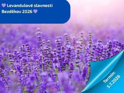 Vánoční Vídeň (12)