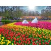 Květinový Keukenhof  🌷 a městečko Leiden  🏛️